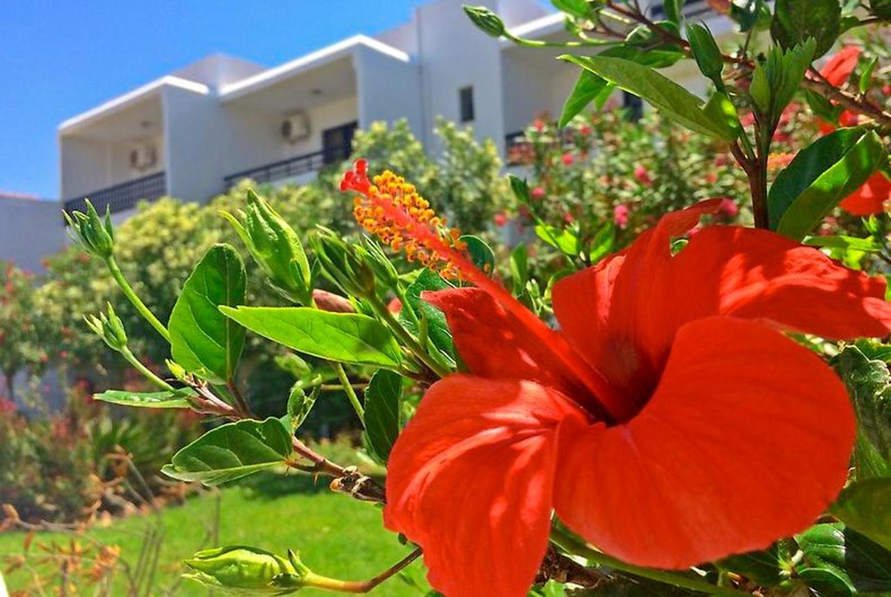 Debbi Appartments And Hotel Ialysos  Luaran gambar